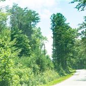 State Road 37-162