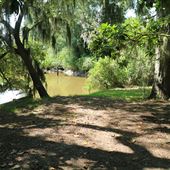 Harrietta Plantation - Docks on Creeks and Swamps (August 2019)