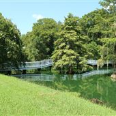 Harrietta Plantation - White Bridge Lake Area (August 2019)