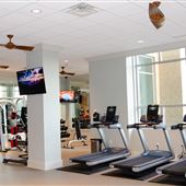 The Greene -(Gym)