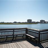 Russell Burgess Coastal Preserve