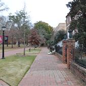 University of SC - The Horseshoe