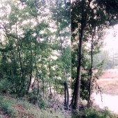 Dungannon Plantation Heritage Preserve