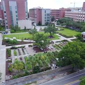 MUSC - Urban Farm