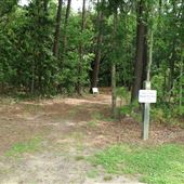 Johns Island Co Park - The Wet Path