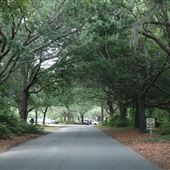 Fort Johnson Road - Harbor View Rd. to Fort Johnson Point
