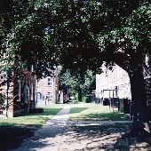 Downtown Row Houses