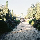 Magnolia Street estate