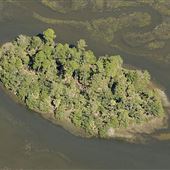 Low Country Private Island
