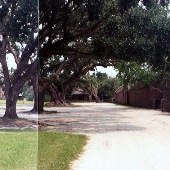 Middleton Place - Barns
