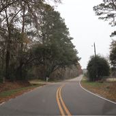 Ashe Point Farm - Main Entry Road Area