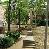 University of SC - Old Greek Area