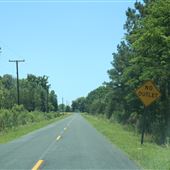 Gibson Road - May 14 & 20 2021