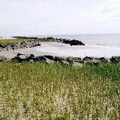 Sullivan's Island - Station 10 Shoreline