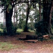 Next to Clarendon Plantation Landing