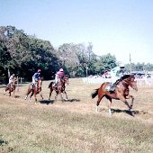 Aiken Steeplechase