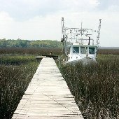 Lady J Shrimp Boat
