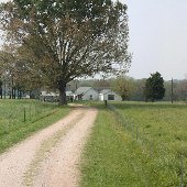 Darby Farms - High Cotton