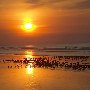 Kiawah Island