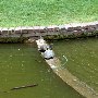 Glencairn Gardens