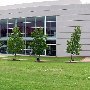 Koger Center for the Arts