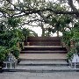Kiawah Island - Sasanqua (Spa)