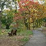 McPherson Park - Fall 2007