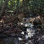 Caesars Head State Park - Wildcat Branch Falls