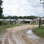 Wayne Avant Hog Farm