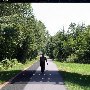 Swamp Rabbit-W Greenville