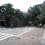 College of Charleston - George Street - St. Phillip to Coming