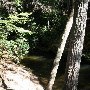 Twin Falls (aka Reedy Cove Falls)