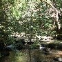 Twin Falls (aka Reedy Cove Falls)
