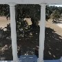 Hampton Plantation State Park