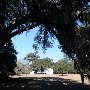 Hampton Plantation State Park