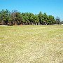Owens Field Park