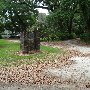 Samworth Plantation