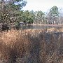 Chester State Park