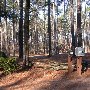 Chester State Park