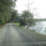 Oakland Plantation - Dock & House in Spring