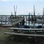 Port Royal Shrimp & Restaurant Docks - 2011