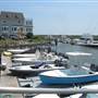 Toler's Cove Marina
