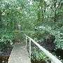 Dungannon Swamp