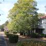Old Navy Base - Bldg. M 5
