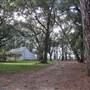 Friendfield Plantation - Grounds Near House
