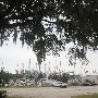 Carolina Seafood Docks