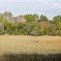 Francis Marion National Forest - Sewee Shell Ring