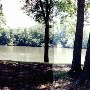 Branch Bluff