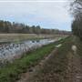 Okeetee Hunt Club - Rice Field