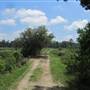 Nemours Wildlife Foundation - Rice Field 3 (seen from dike)